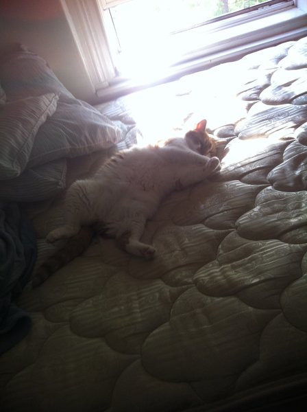 ../previews/002-Logan 033.jpg.medium.jpeg