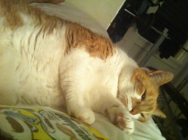 ../previews/003-Logan 036.jpg.medium.jpeg