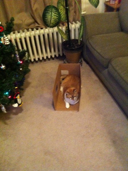 ../previews/009-Logan 087.jpg.medium.jpeg