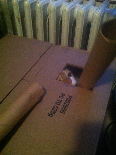 ../previews/010-Logan 090.jpg.medium.jpeg