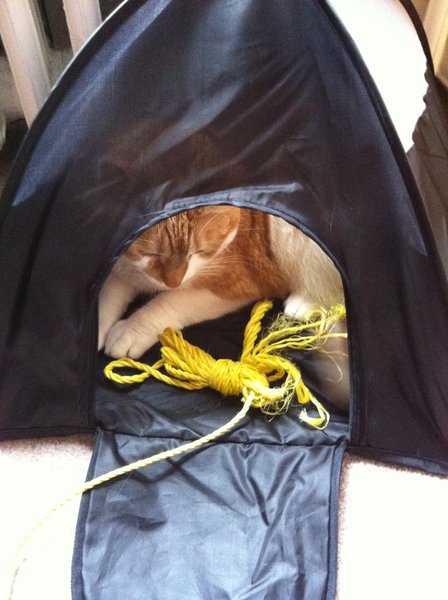 ../previews/013-Logan 109.jpg.medium.jpeg