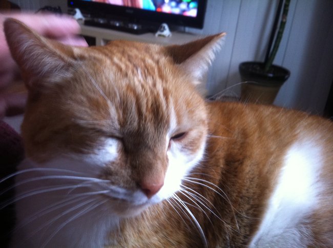 ../previews/015-Logan 021.jpg.medium.jpeg