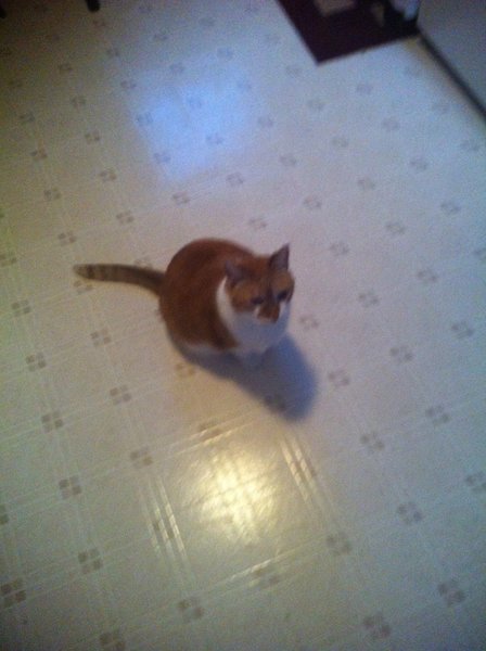 ../previews/017-Logan 026.jpg.medium.jpeg