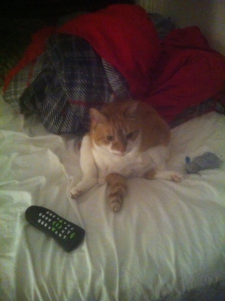 ../previews/018-Logan 029.jpg.medium.jpeg