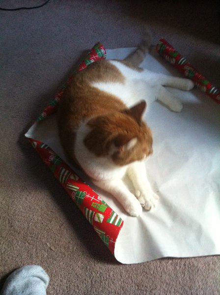 ../previews/026-Logan 088.jpg.medium.jpeg