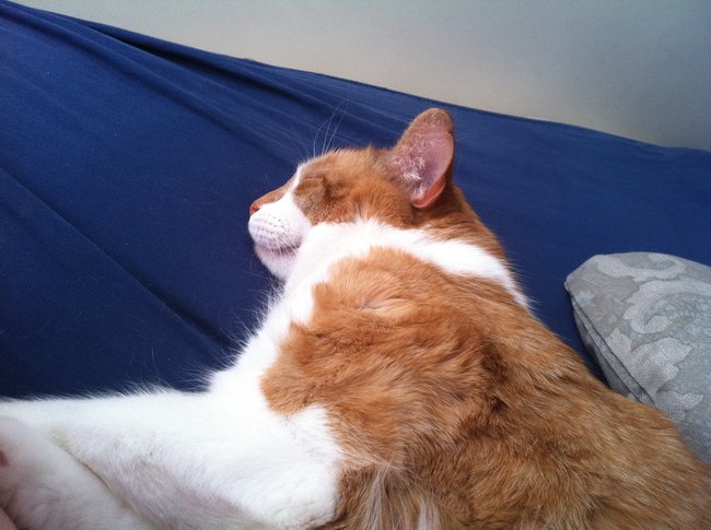 ../previews/027-Logan 097.jpg.medium.jpeg