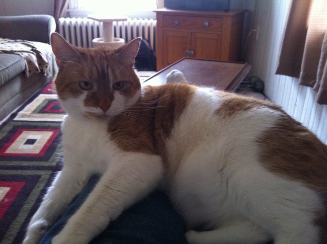 ../previews/029-Logan 118.jpg.medium.jpeg