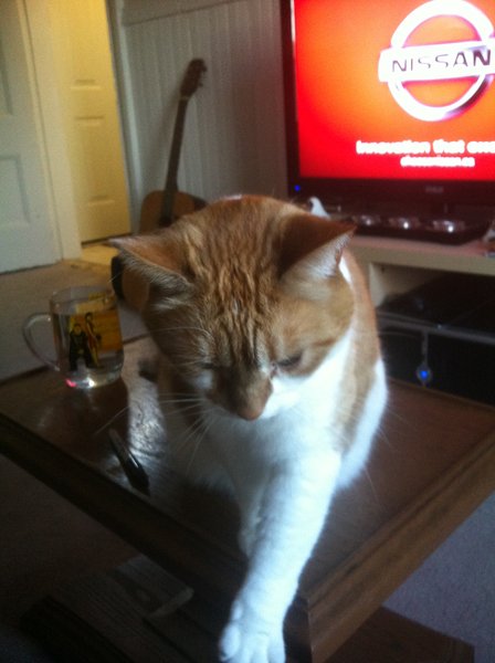 ../previews/031-Logan 022.jpg.medium.jpeg