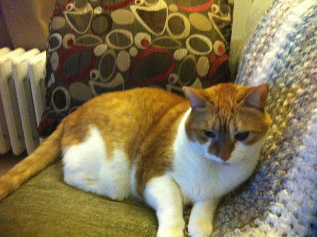 ../previews/032-Logan 023.jpg.medium.jpeg