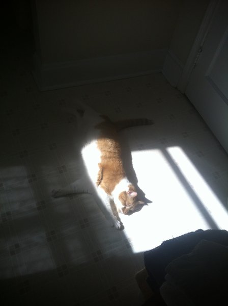 ../previews/035-Logan 032.jpg.medium.jpeg