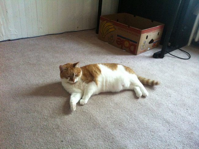 ../previews/037-Logan 070.jpg.medium.jpeg