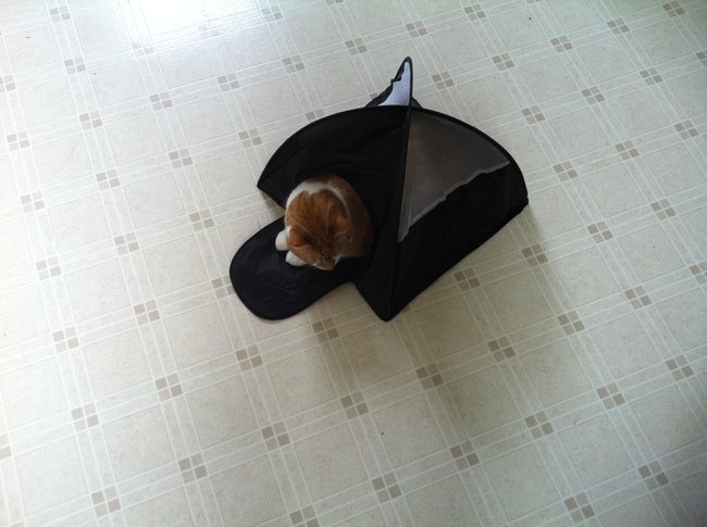 ../previews/042-Logan 102.jpg.medium.jpeg