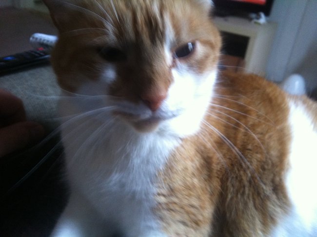 ../previews/046-Logan 071.jpg.medium.jpeg