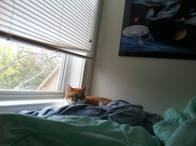 ../previews/052-Logan 084.jpg.medium.jpeg