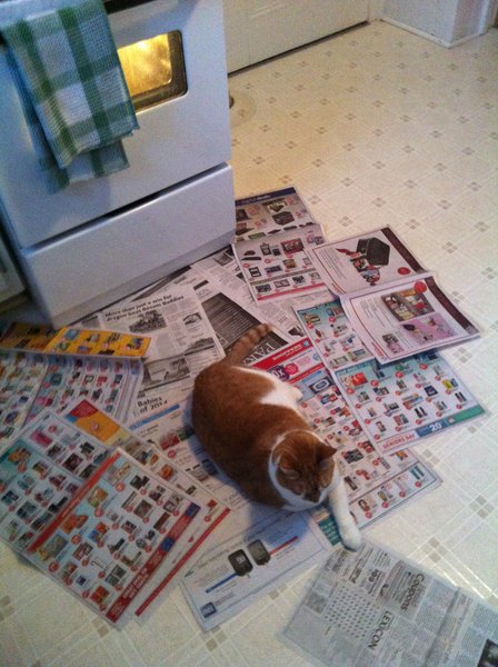 ../previews/054-Logan 089.jpg.medium.jpeg