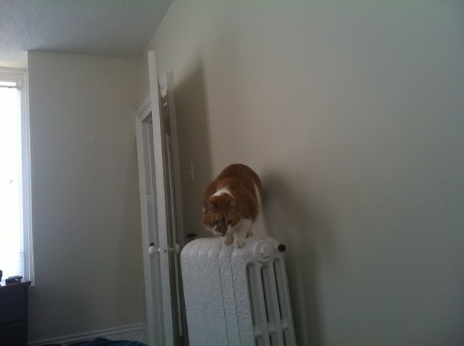 ../previews/058-Logan 101.jpg.medium.jpeg