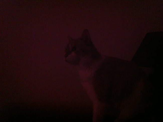 ../previews/059-Logan 103.jpg.medium.jpeg