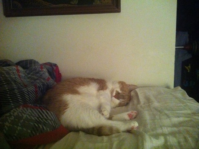 ../previews/064-Logan 025.jpg.medium.jpeg