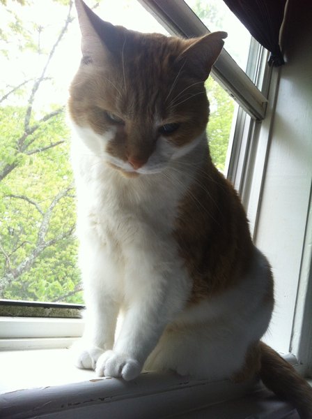 ../previews/065-Logan 031.jpg.medium.jpeg