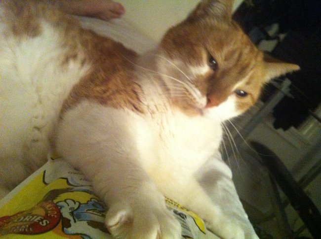 ../previews/067-Logan 038.jpg.medium.jpeg