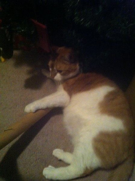 ../previews/069-Logan 091.jpg.medium.jpeg