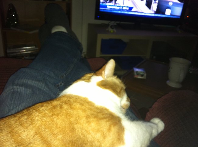 ../previews/070-Logan 092.jpg.medium.jpeg