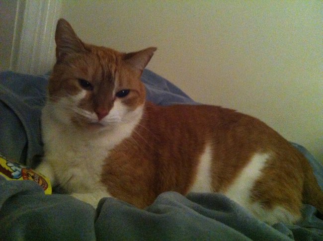 ../previews/072-Logan 104.jpg.medium.jpeg