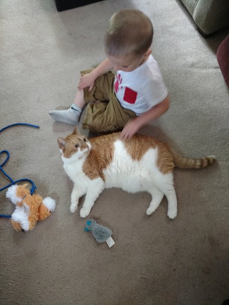 ../previews/080-Logan 121.jpg.medium.jpeg