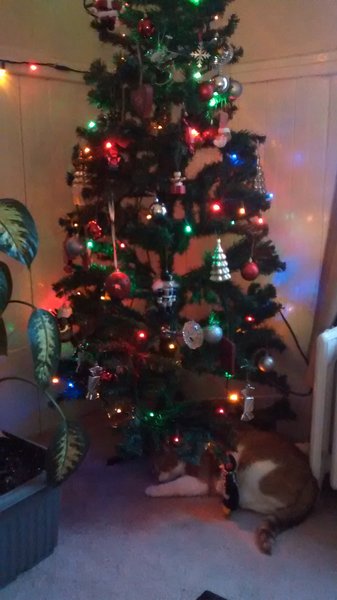 ../previews/082-Logan 067.jpg.medium.jpeg