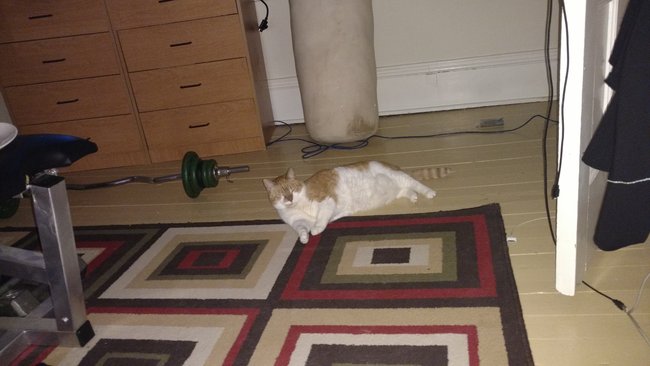 ../previews/084-Logan 045.jpg.medium.jpeg