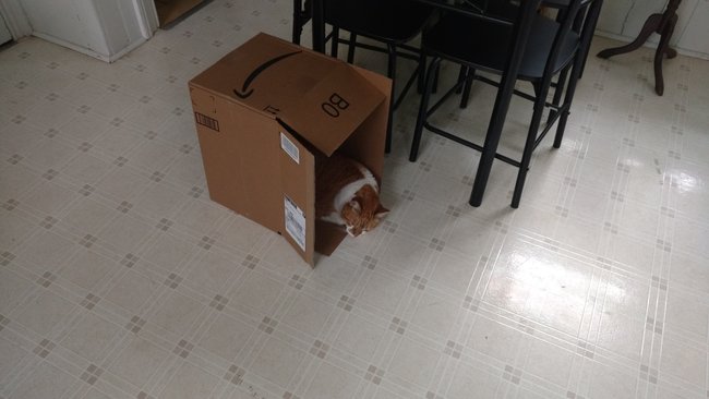 ../previews/088-Logan 049.jpg.medium.jpeg