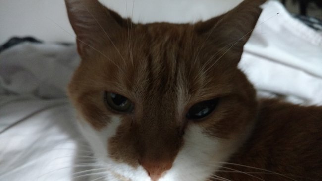 ../previews/092-Logan 053.jpg.medium.jpeg