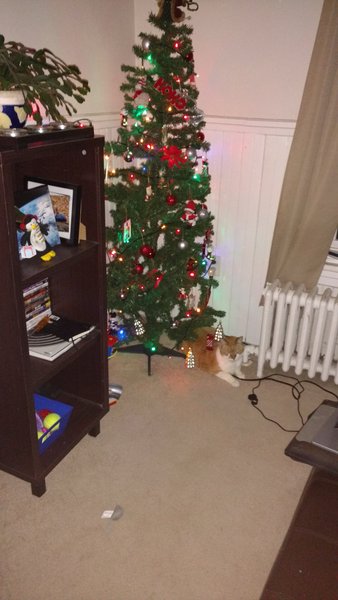 ../previews/094-Logan 055.jpg.medium.jpeg