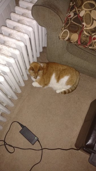 ../previews/096-Logan 057.jpg.medium.jpeg