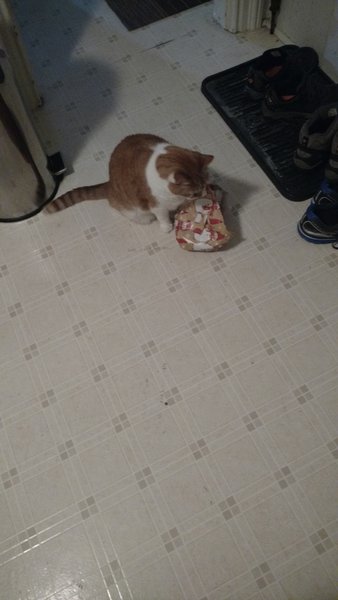 ../previews/101-Logan 003.jpg.medium.jpeg