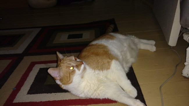 ../previews/103-Logan 004.jpg.medium.jpeg