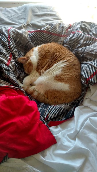 ../previews/110-Logan 011.jpg.medium.jpeg