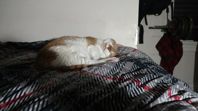 ../previews/111-Logan 012.jpg.medium.jpeg