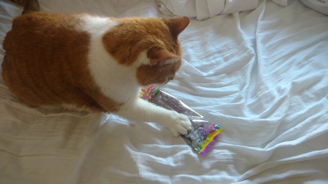 ../previews/114-Logan 015.jpg.medium.jpeg