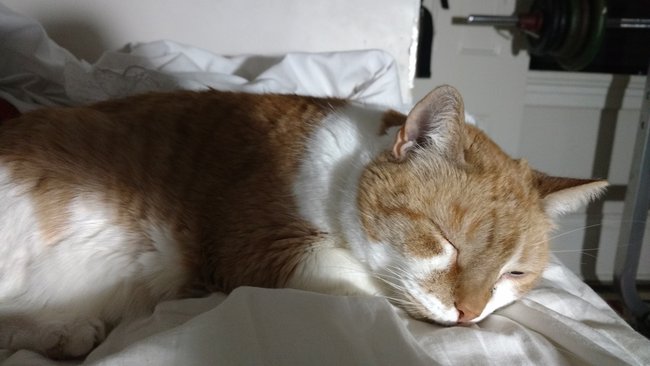 ../previews/116-Logan 017.jpg.medium.jpeg