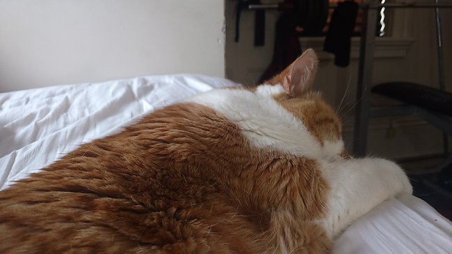 ../previews/117-Logan 018.jpg.medium.jpeg